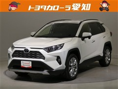 トヨタ　RAV4 G Zパッケージ