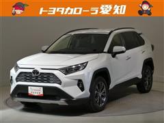 RAV4 G