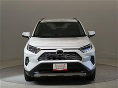 RAV4 G
