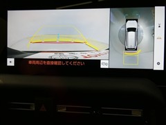 ランドクルーザー250 VX