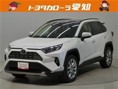 RAV4 G Zパッケージ