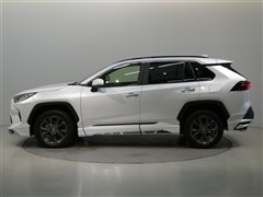 RAV4 G