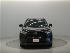 RAV4 X