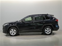 RAV4 X