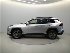RAV4 G