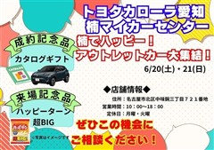 カローラツーリングWXB