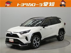 RAV4 PHV ブラックトーン