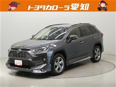 RAV4 G