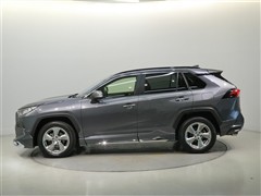 RAV4 G