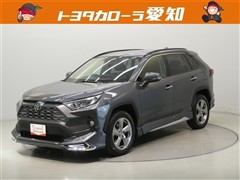 RAV4 G