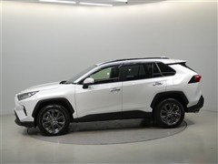 RAV4 G