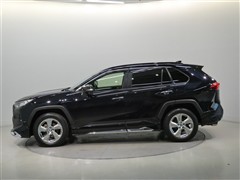 RAV4 G