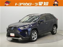 RAV4 HV G