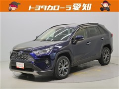 RAV4 G