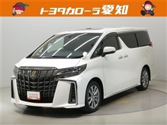 アルファードSタイプゴールド2