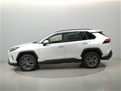 RAV4 HV G
