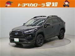 RAV4HVアドベオフロード2