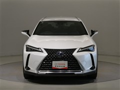 UX250h version L