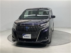 エスクァイアHV Gi P BL TL