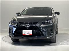 NX300 ブロンズエディション