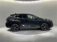 NX300 ブロンズエディション