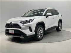 RAV4 G Zパッケージ