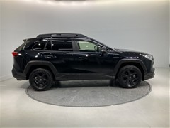 RAV4アドベンチャーオフロード2