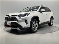 RAV4 G Zパッケージ