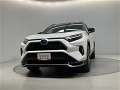 RAV4 PHV ブラックトーン