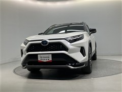 RAV4 PHV ブラックトーン