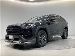 RAV4 アドベンチャー