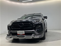 RAV4 アドベンチャー