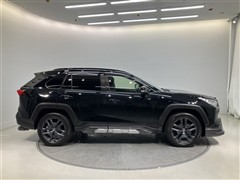 RAV4 アドベンチャー