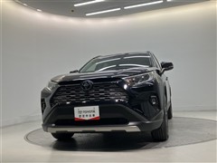 RAV4 G