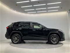 RAV4 G