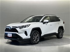 RAV4 X