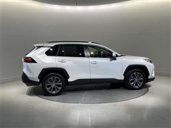RAV4 X