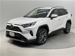 RAV4 G
