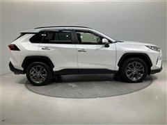 RAV4 G