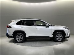 RAV4 X