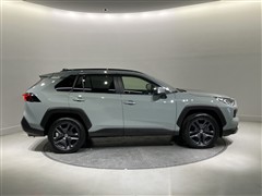 RAV4 アドベンチャー