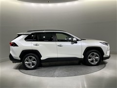 RAV4 G