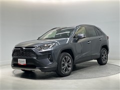 RAV4 G