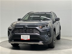 RAV4 G