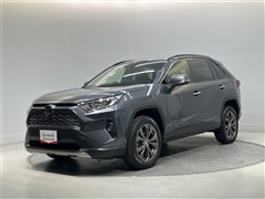 RAV4 G