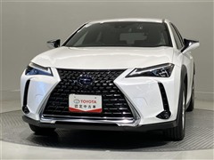 UX250h バージョンC