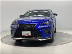 NX300 Fスポーツ