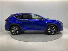 NX300 Fスポーツ