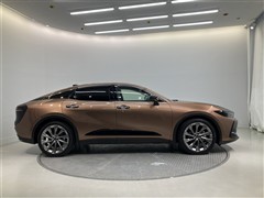 クラウンCO HV G アドレザーP