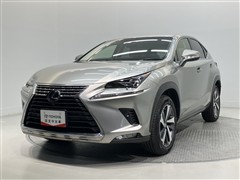 NX300h バージョンL